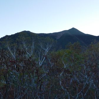 戸蔦別岳の三角が見えた。