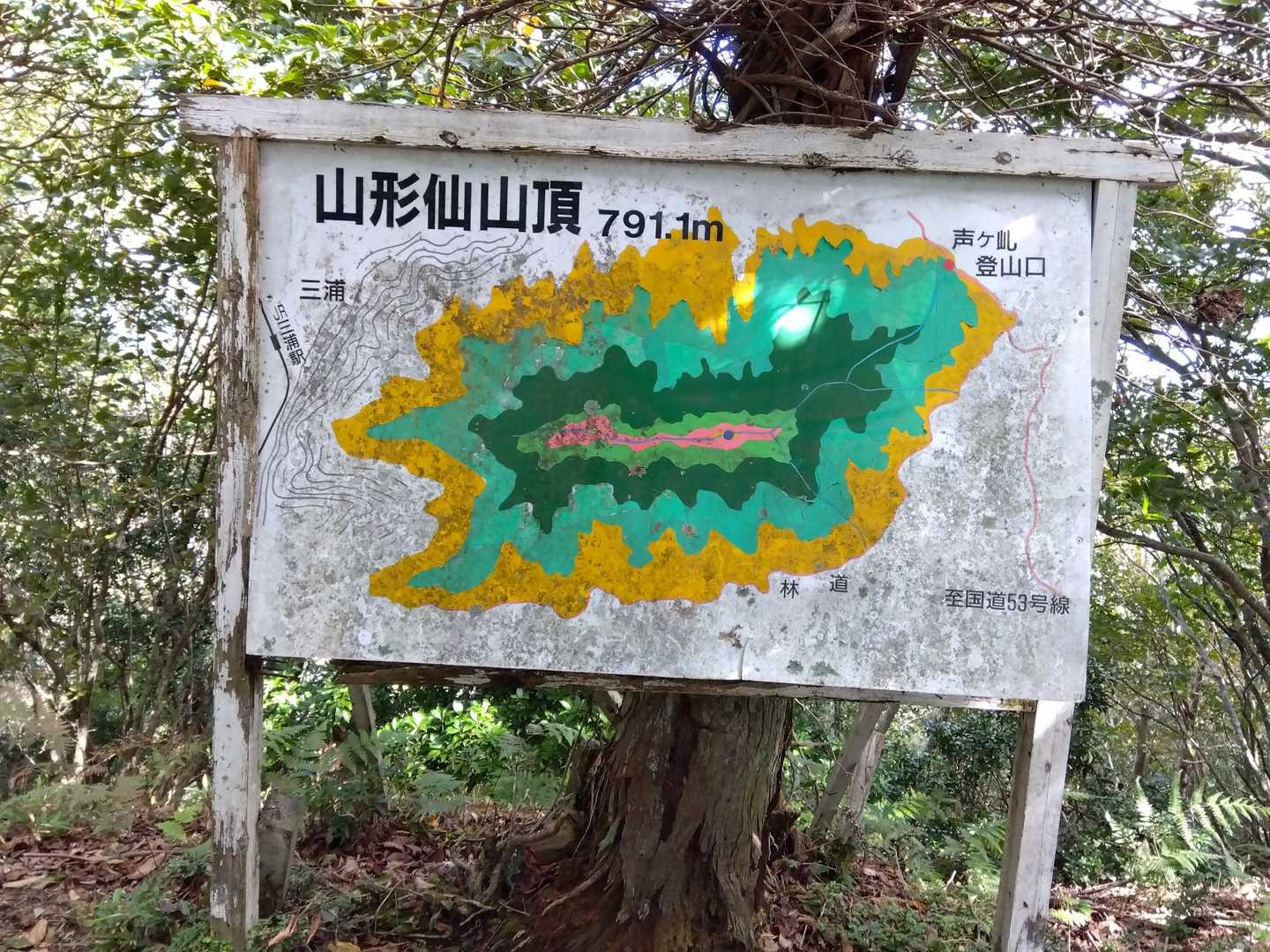  山頂