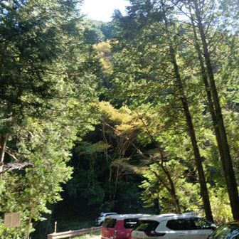 相変わらずの駐車場
軽でよかったわ笑
