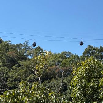 上を見上げるとロープウェー🚡