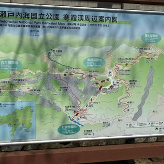 ここからは、歩いて登れります。