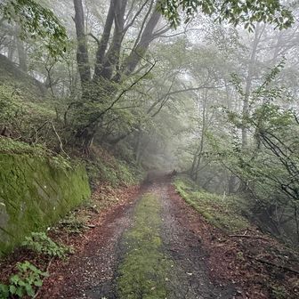 再度、旧中山道を歩く