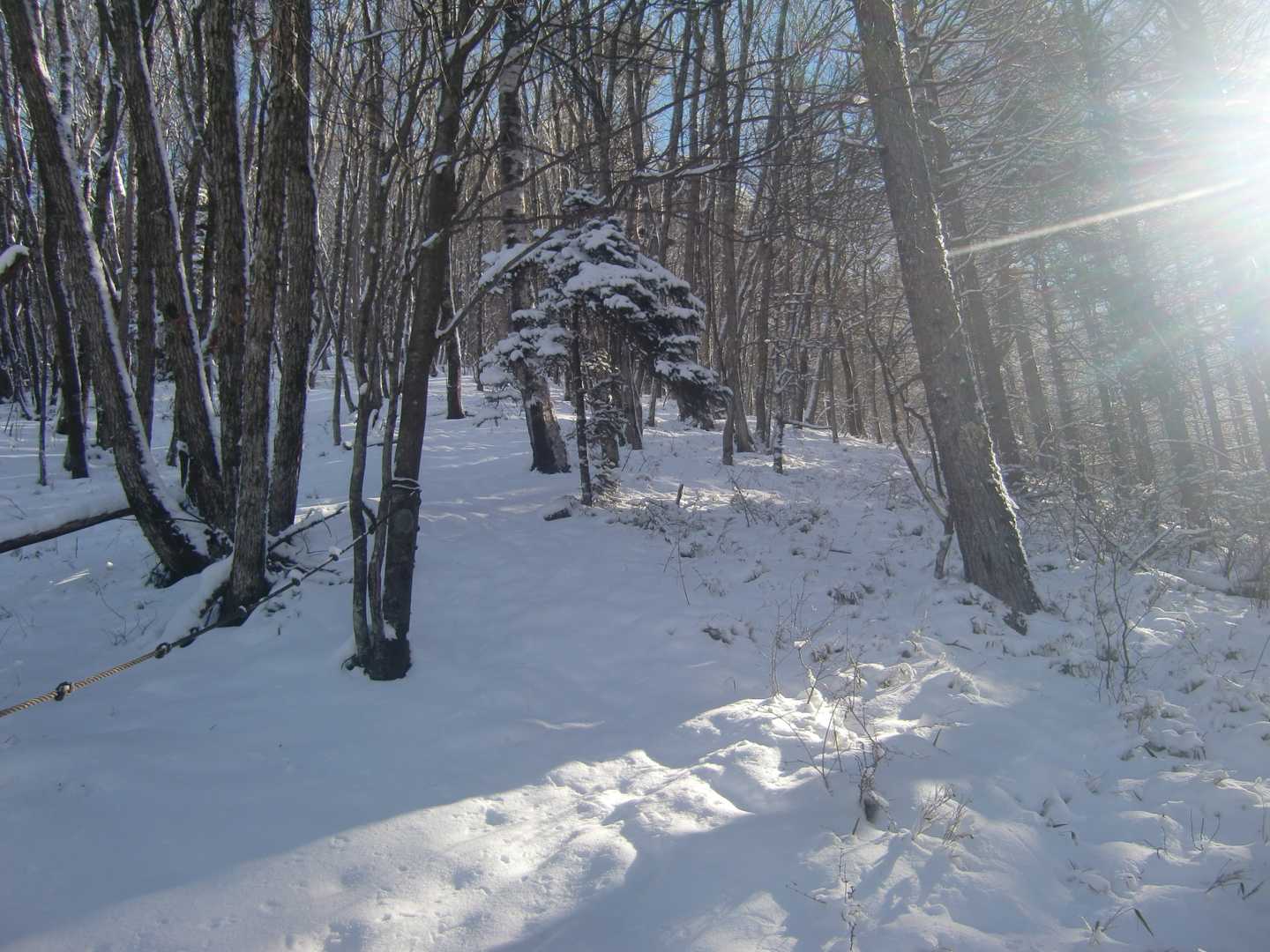 折角の雪山なので、ちょっと楽しもうと登山道を外れて、日の当たる尾根にあがりそこから登り、また登山道に合流。