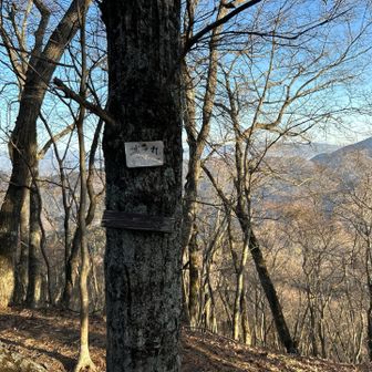 7時頃からヘリによる消火作業が