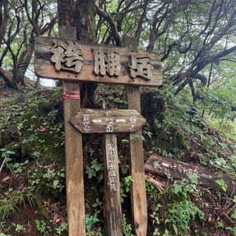 無事着きました