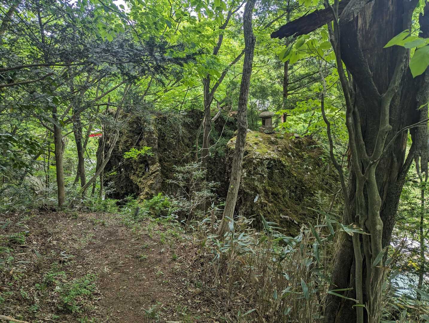 大倉山 往復コースの写真