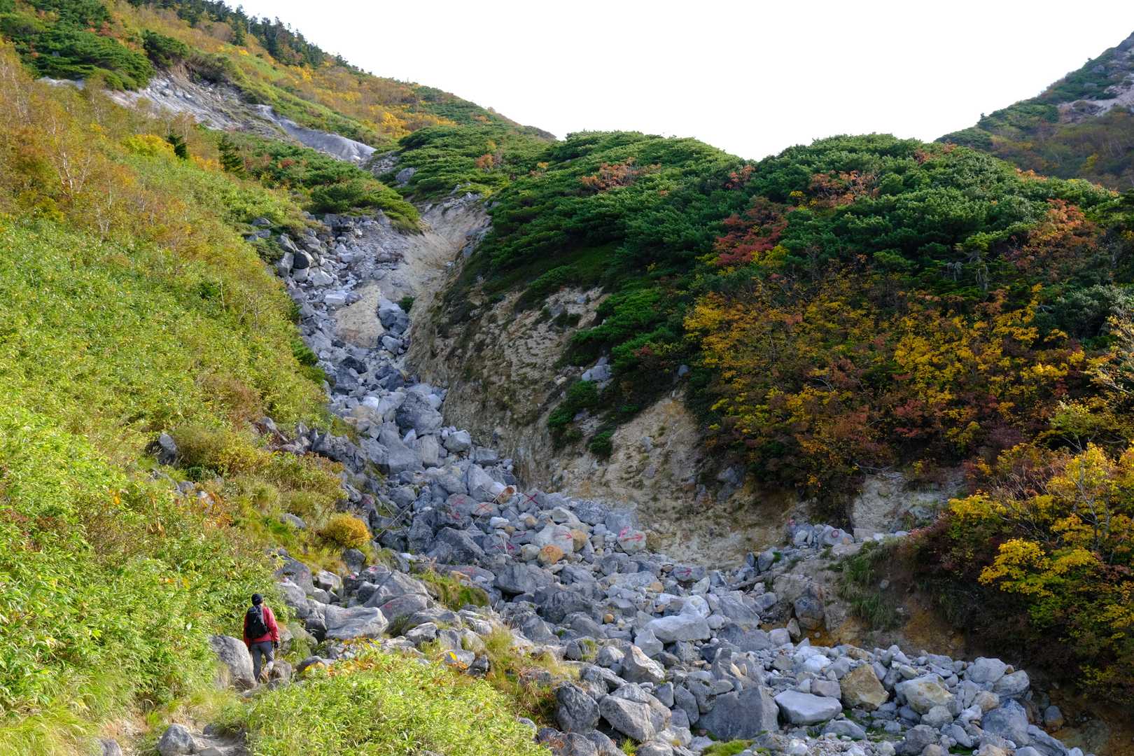 やがて木立が拓けると、登山道は『地獄湯の沢』と呼ばれる沢へ差し掛かる。この地形もかつての火山活動をうかがわせる様相を呈しており、ほのかな硫黄臭も漂っている。