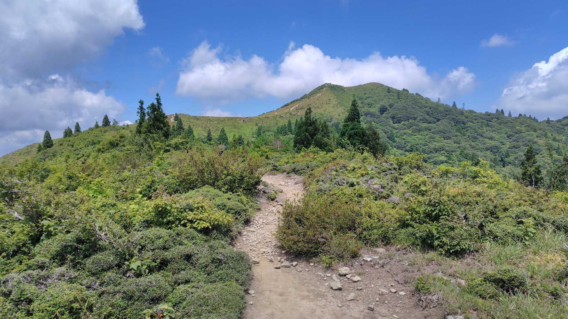 いやでもホント楽しい山だなぁ、1200m台とは思えない風格がある稜線だね！