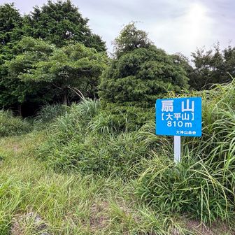 やっと山頂〜🙌
あーしんど💧810mもあんのかー
しかしさここまで来ると、何で来たんだろう、と身も蓋もないことを思った自分を戒める