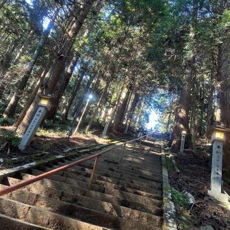 この石段は降りるだけ。苦悶する顔で登ってくる人を横目に見ながら。