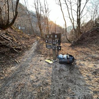 葛川越に到着
なかなかよさげな平地を見てビバーク決定