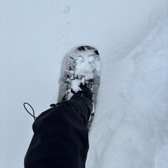 なんて良きもの 昨年は大変だったなぁ。