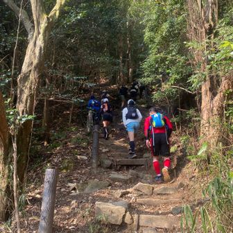 お酒飲んですぐ急登だ～