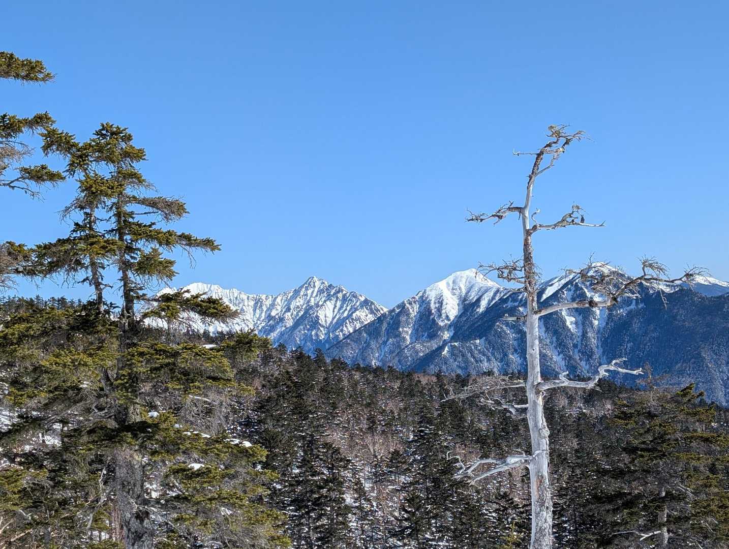 十石山 往復コースの写真