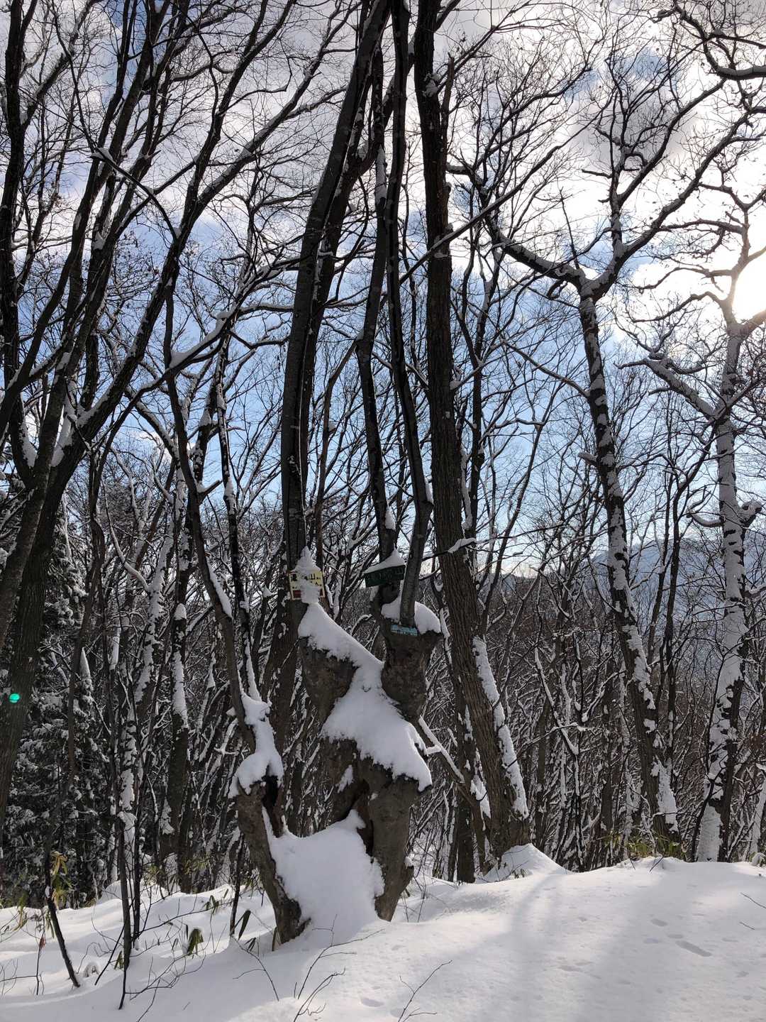 山頂到着‼️気持ちいい😆2022年初登頂❗️おめでとう㊗️