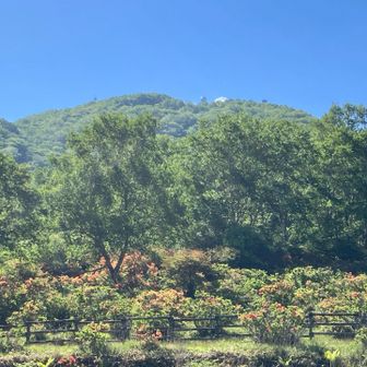 地蔵山とレンゲツツジ