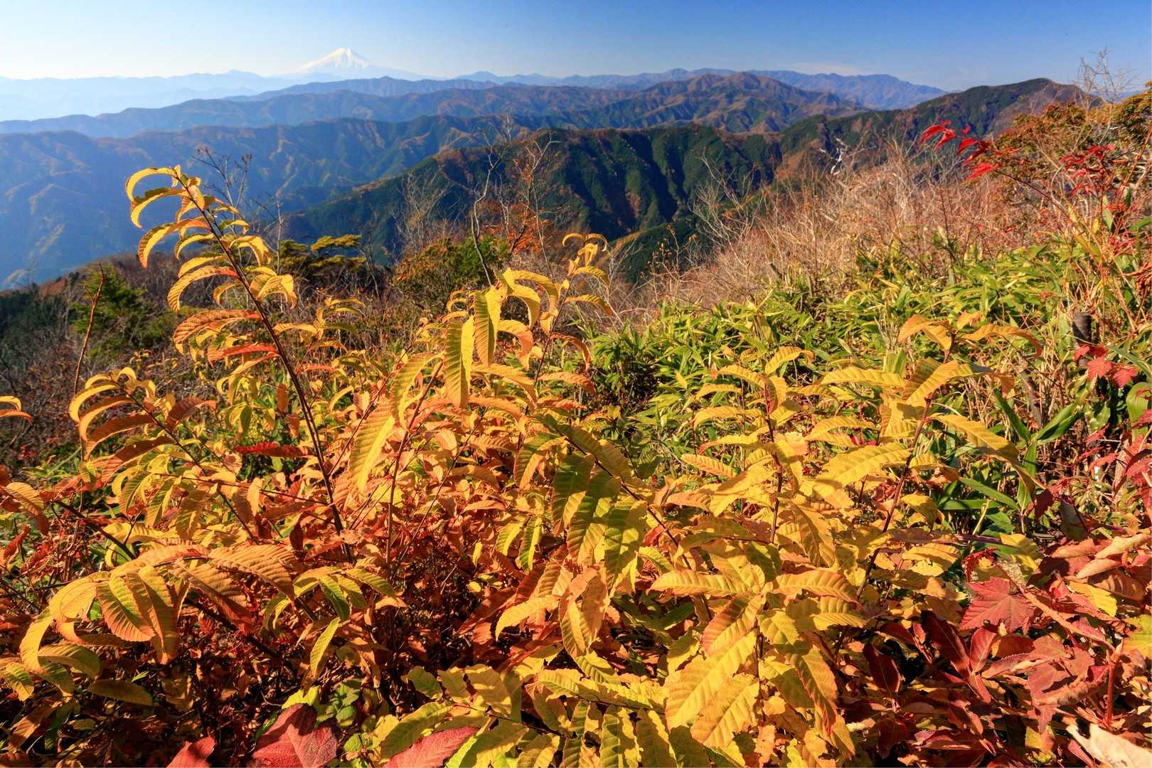 大岳山の写真