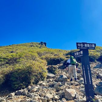 頑張って登ります！