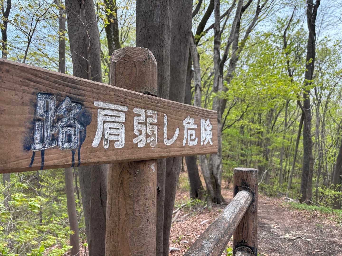 路が消されてる（笑）