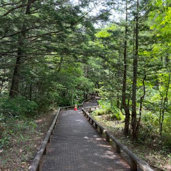牛留池への木道