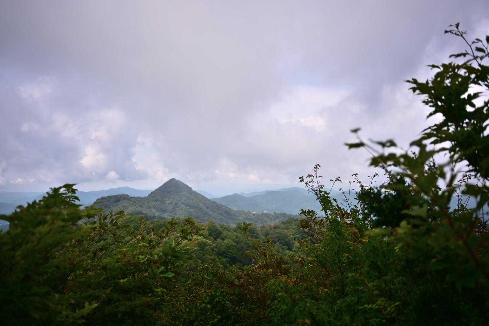 矢部越登山口-釈迦岳-釈迦岳 往復コースの写真