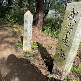 分からないけど、武者が走るところなのかな？！