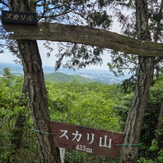 スカリ山🙌
こじんまりした良い雰囲気の山頂です。気持ち良いな～🌿✨初対面の皆さんもすっかり打ち解けて和やかに会話も弾みます🎵