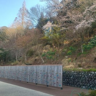 ボルダリングは苦手だけど、これくらいで練習すれば良いかも！誰もいないから落ちても恥ずかしくない！
とザックを置いて近寄ってみたら