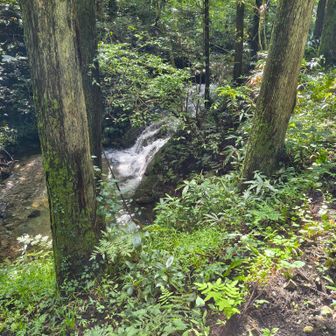 久々過ぎて鞍掛山に辿り着く前にいきなり道に迷う…何か新しい道できてたんだが…