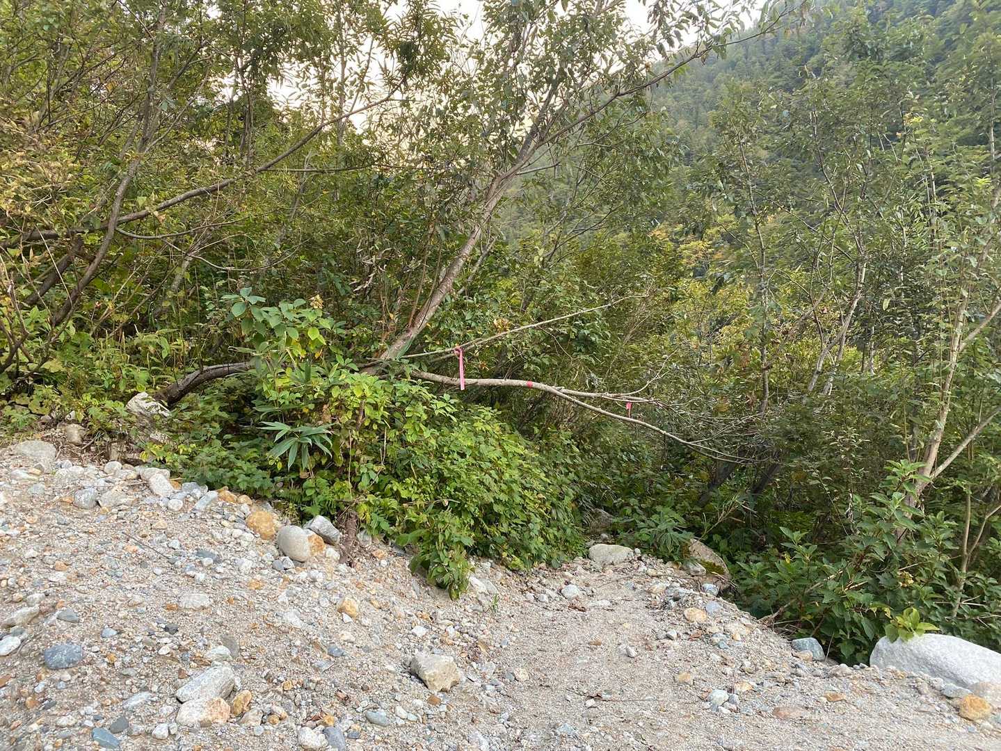 無事下山・・