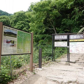無事に下山、お昼からもゆっくりお庭仕事ができます。
