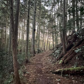 つめたーい空気が気持ちいい😊