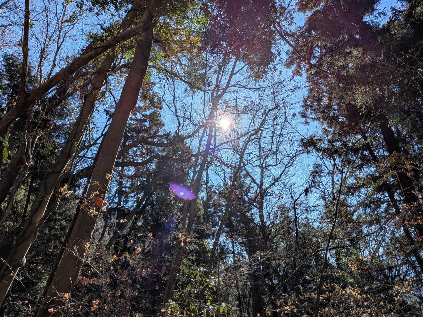昨日の爆風から変わって良い天気☀️