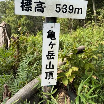 4座目、亀ヶ岳