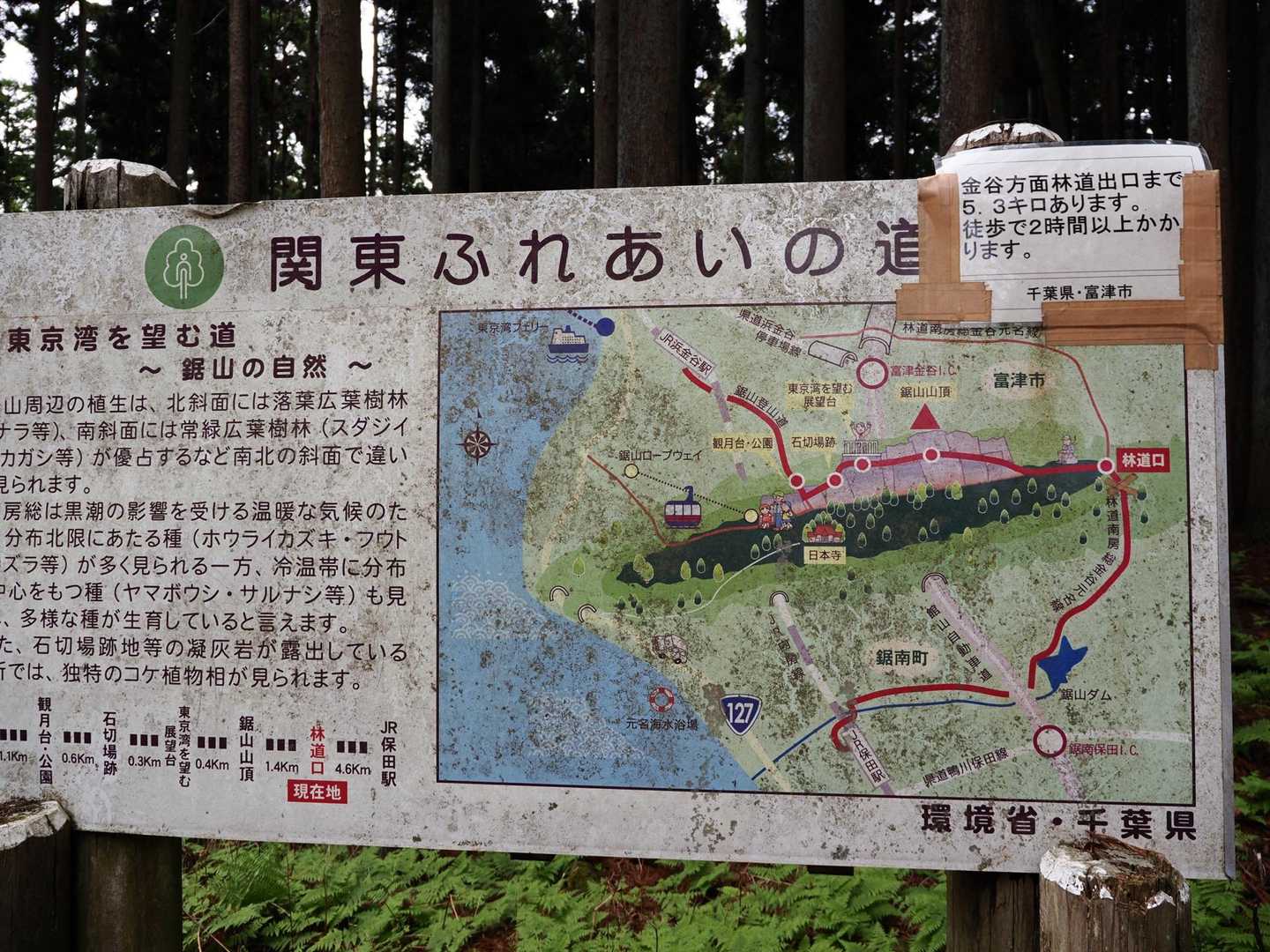 ここからバリエーションルートになります。