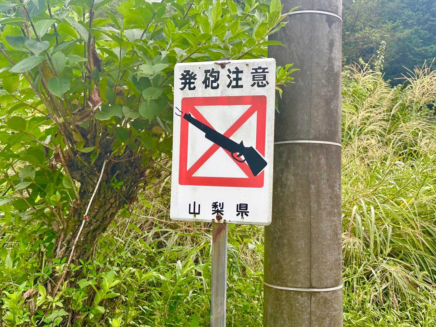 発砲注意⚠️