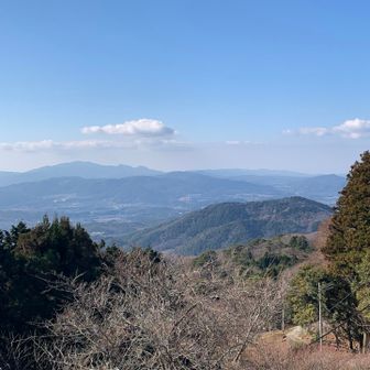 星嶺の展望台より。