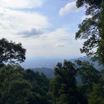 癒された景色✨