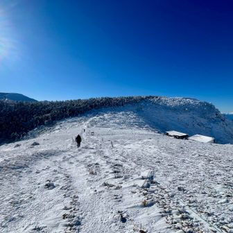 根石岳山荘を尻目に東天狗を目指す。
横風から防ぐ為にあえて下がった所に小屋が建ってるんだなと分かる。
