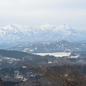 はなこさーん😆