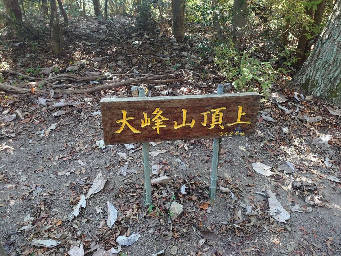 山本駅-満願寺西山-中山-大峰山-大峰山登山口-武田尾駅 縦走コースの写真