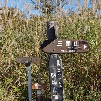 鉄砲木ノ頭(明神山)山頂