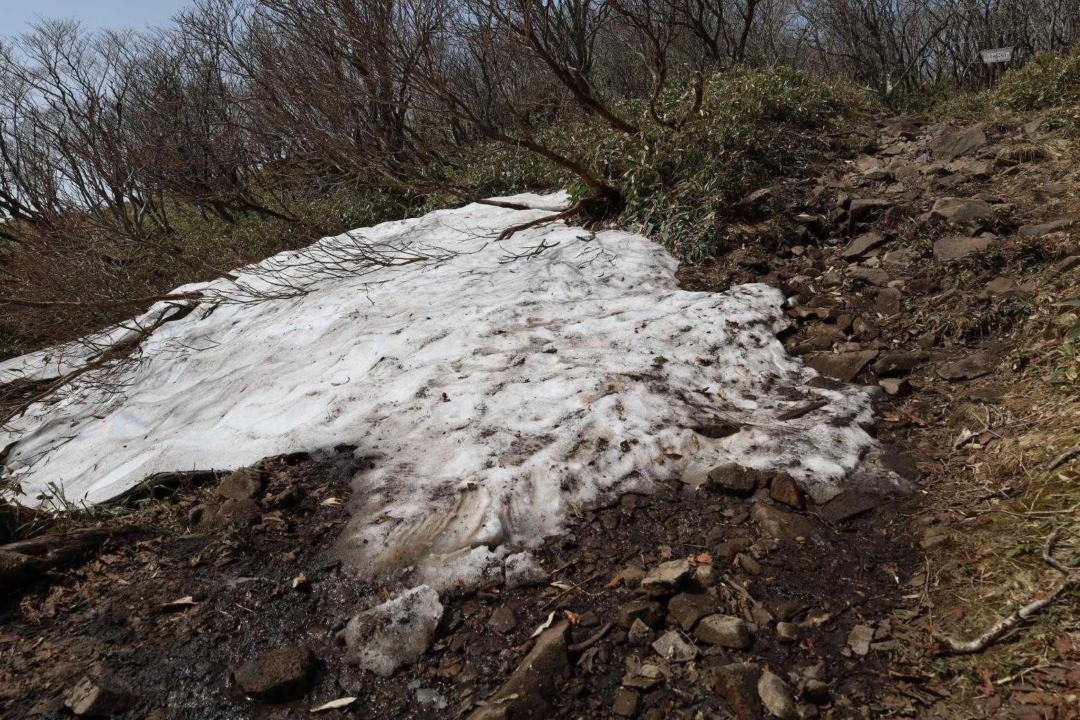稜線の残雪  
前回 3月30日に来たときは多くの雪があった。