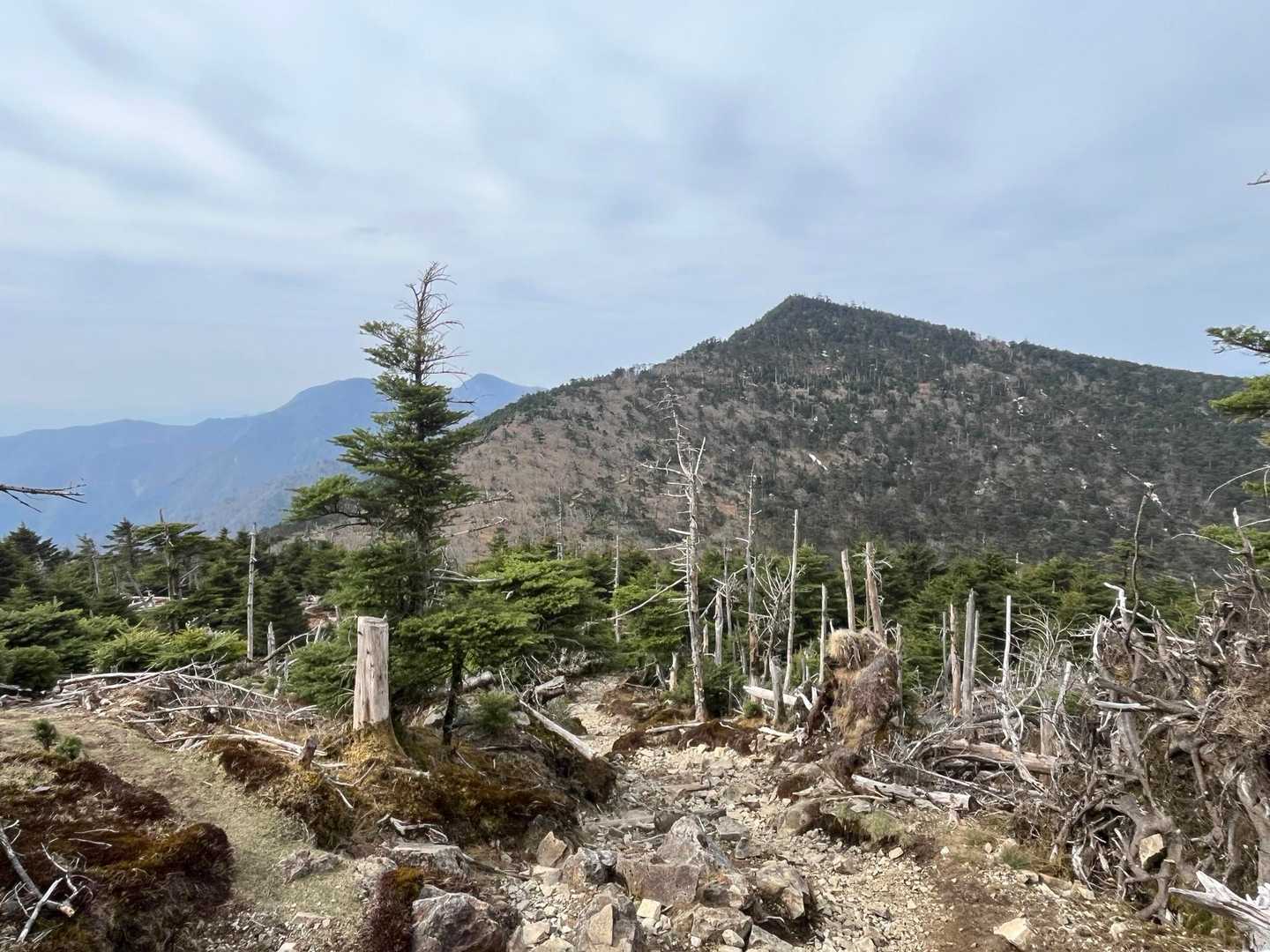 あーこの感じが八経ヶ岳だね！⛰️