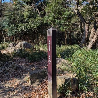 金鳥山山頂👆️