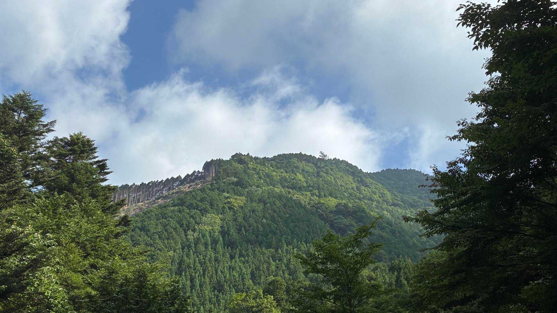 日永岳登山口-日永岳 往復コースの写真
