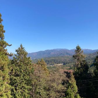 本丸からの眺め 標高 717m