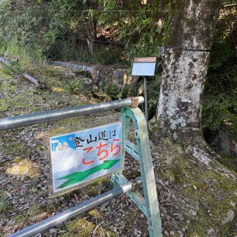横尾山〜剣尾山〜行者山の周回ルート
