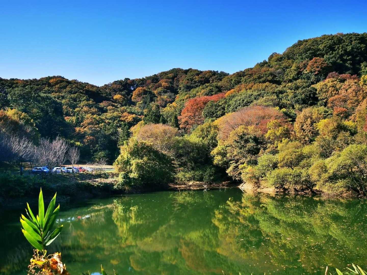 鐘撞堂山 周回コースの写真