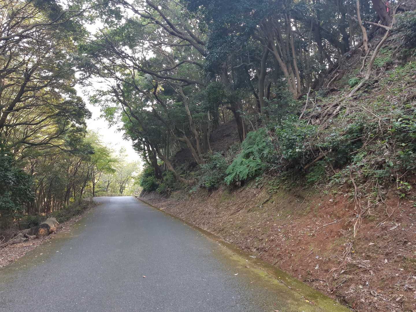ここからはロードで戻ります🚶‍♀️
あ〜楽しかった🤗